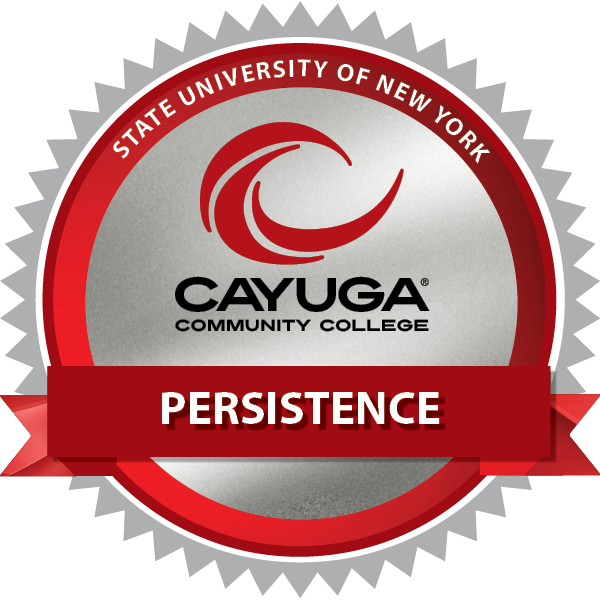 Persistence '21
