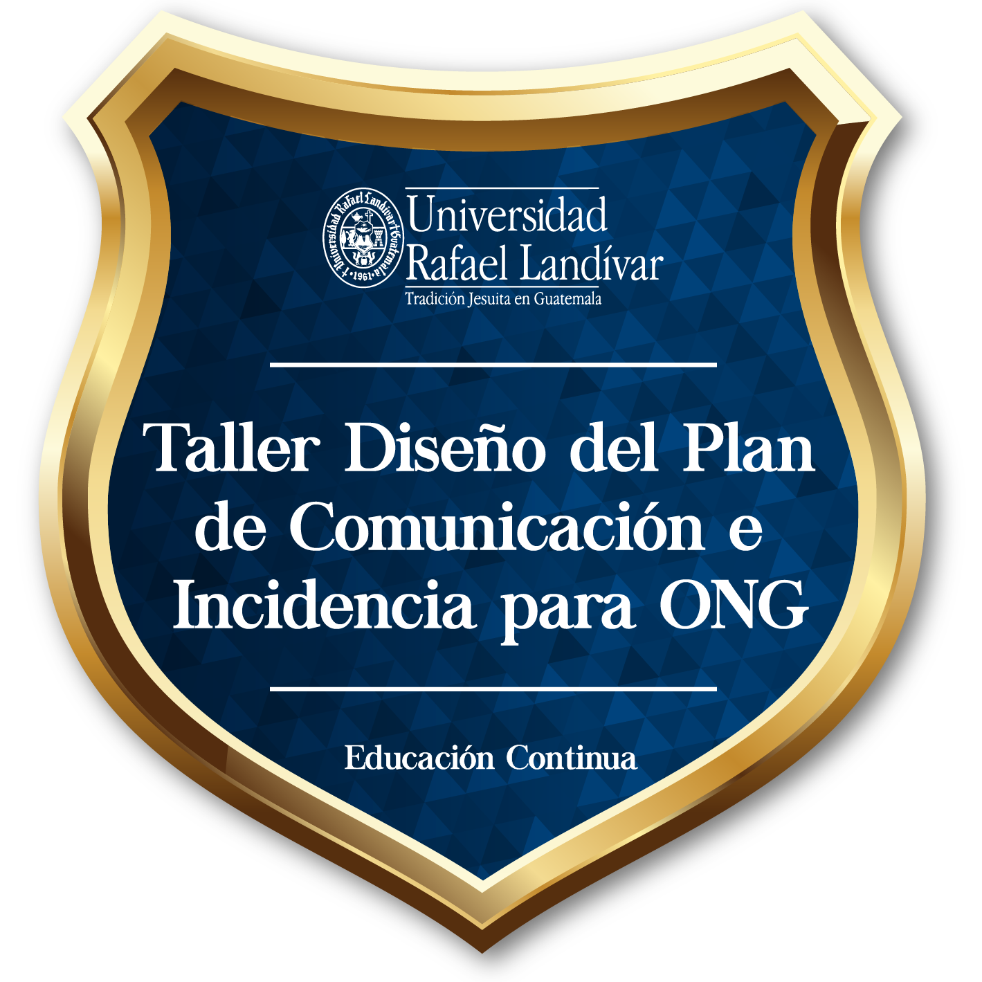 Taller Diseño del plan de comunicación e incidencia para ONG