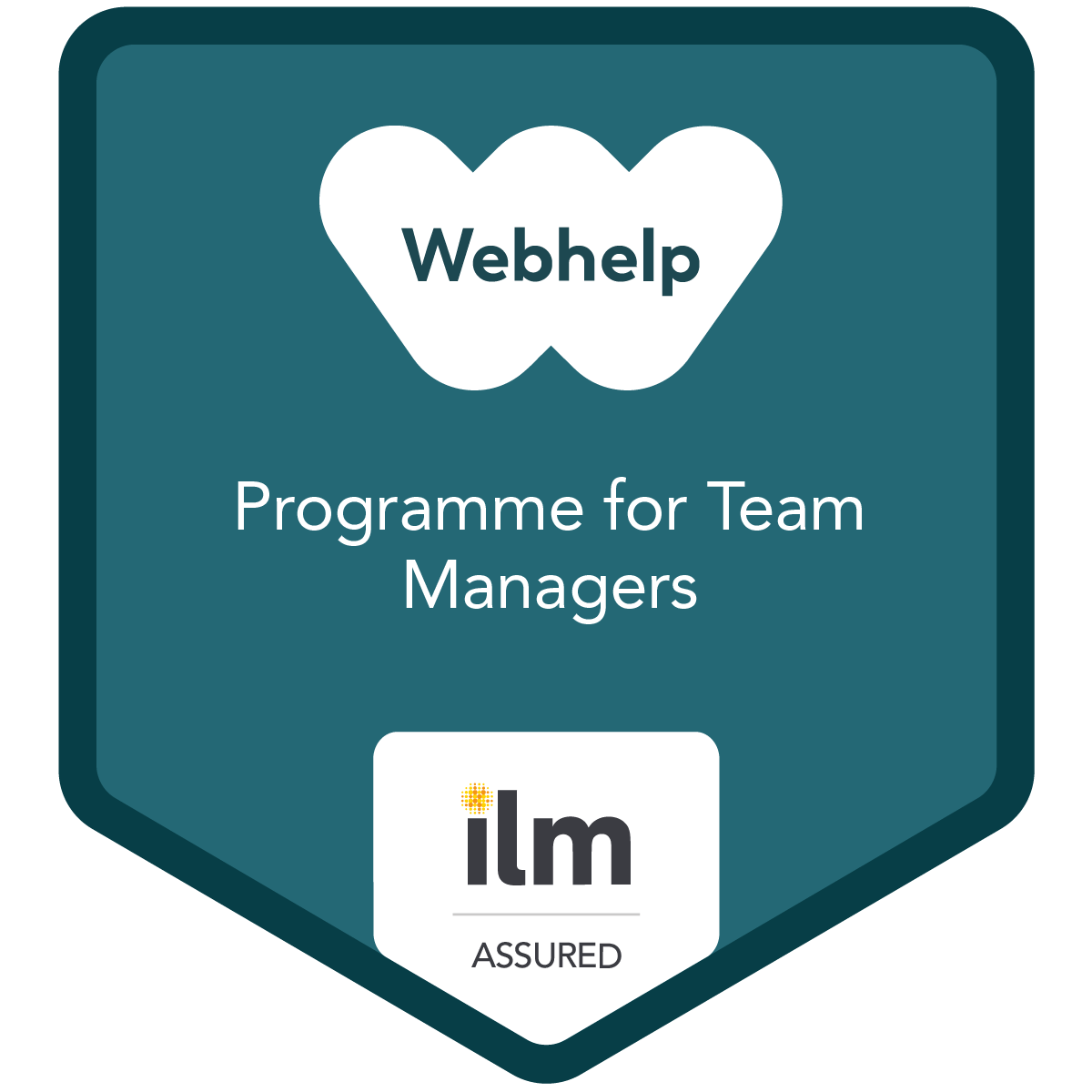 Programme for Team Managers - Webhelp