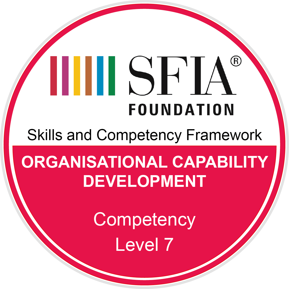 Organisational capability development - Competency - Level 7