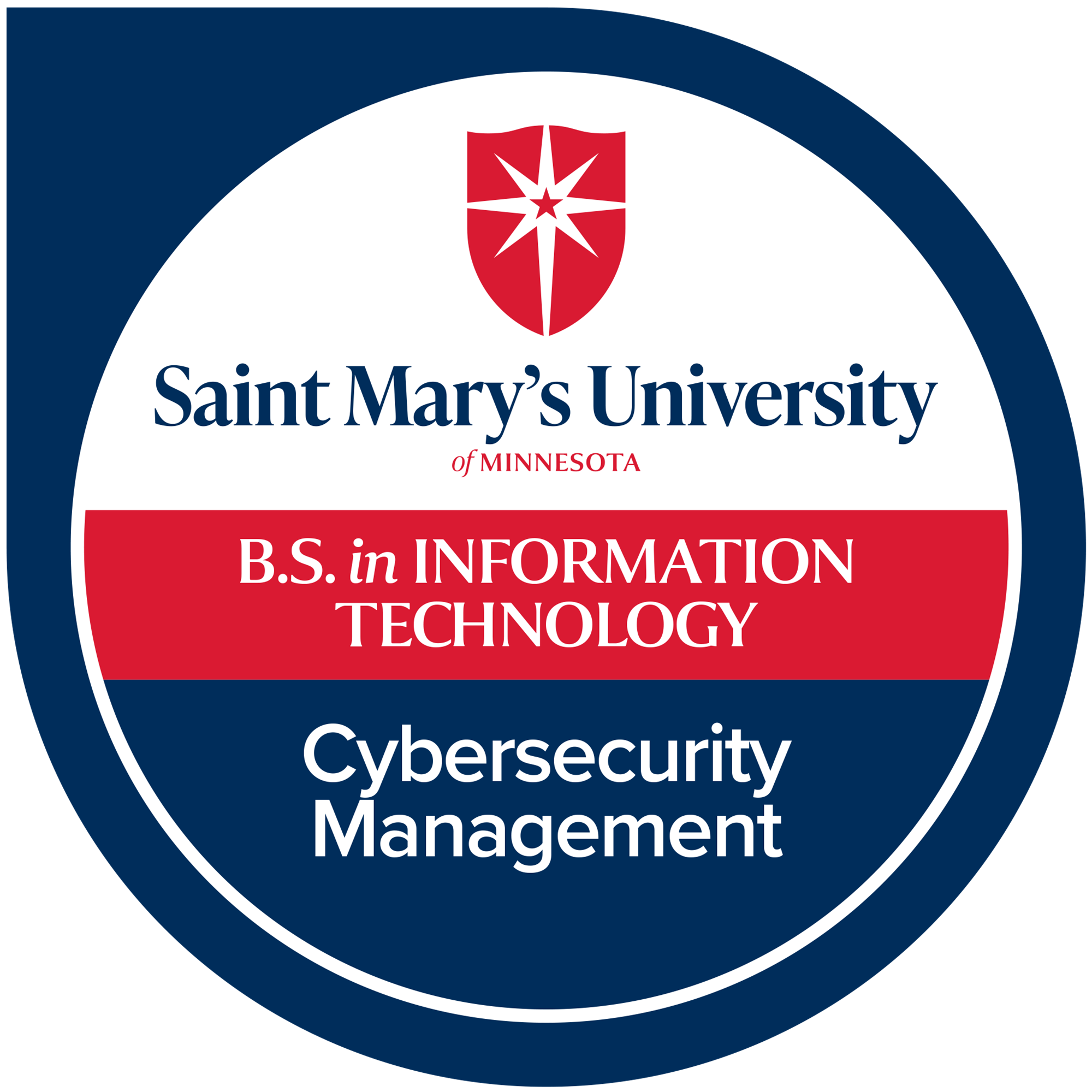 Cybersecurity Management
