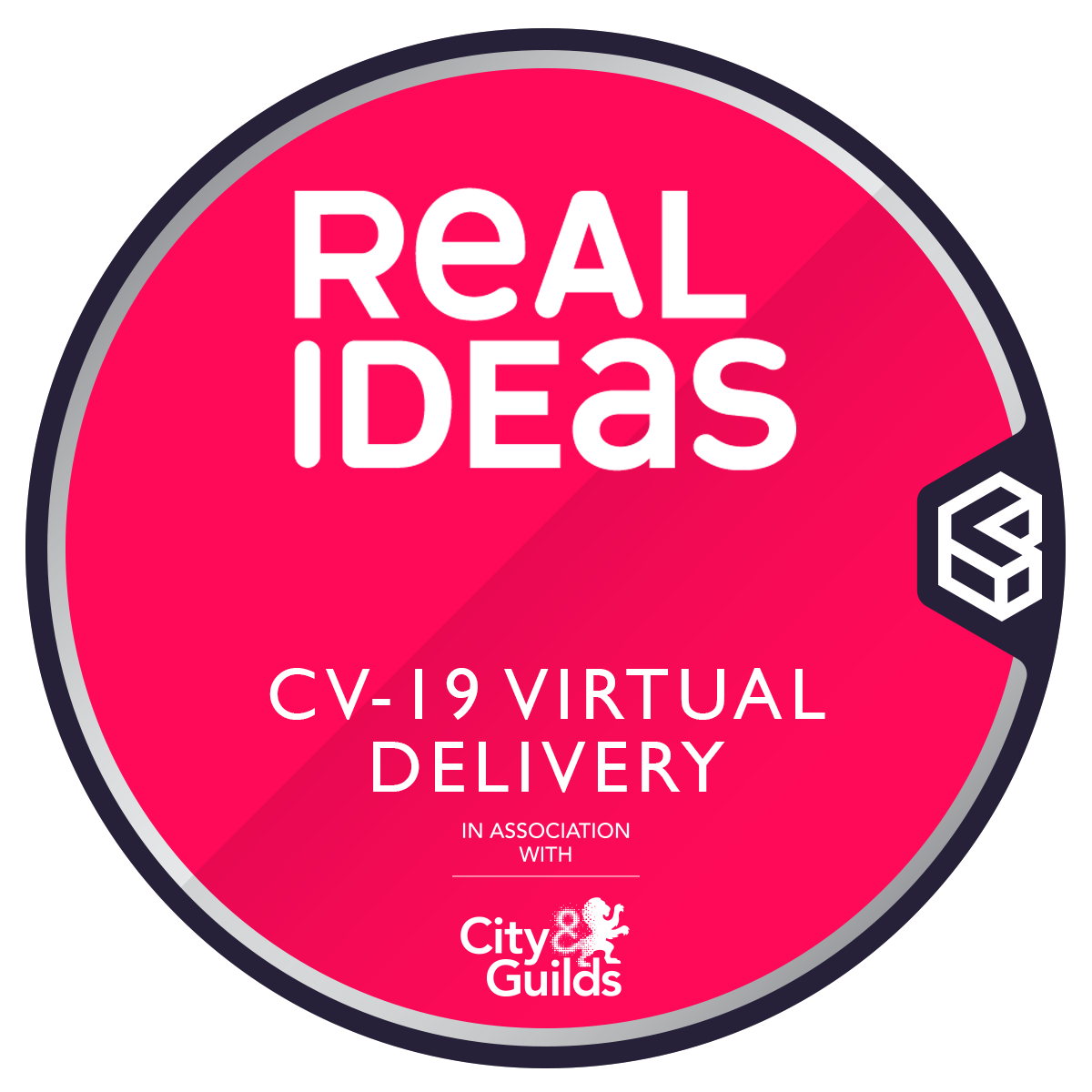 Real Ideas CV-19 Virtual Support for Vulnerable Young People