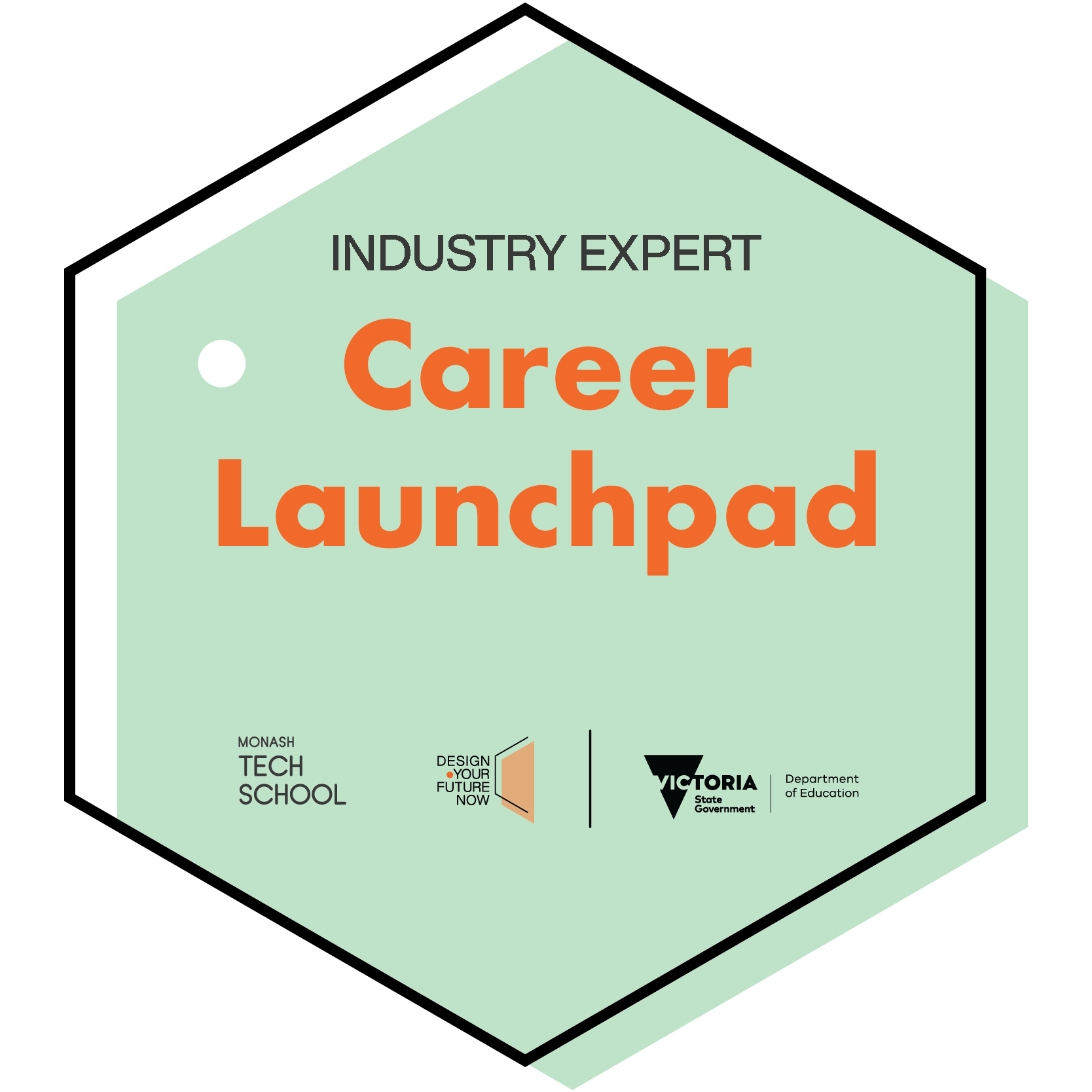 Career Launchpad - Industry Expert - 2025
