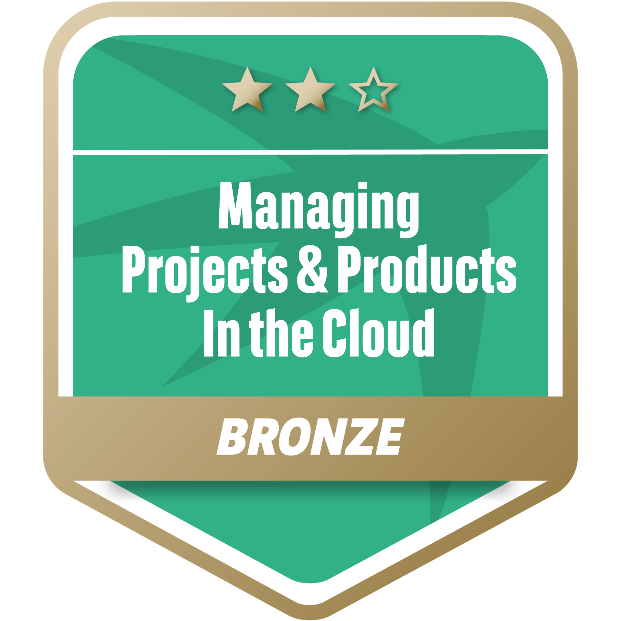Managing Projects & Products in the Cloud Bronze
