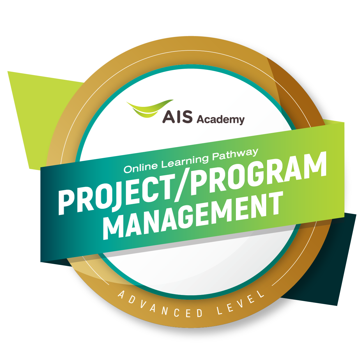 Online Learning Pathway - Program / Project Management - Advanced Level