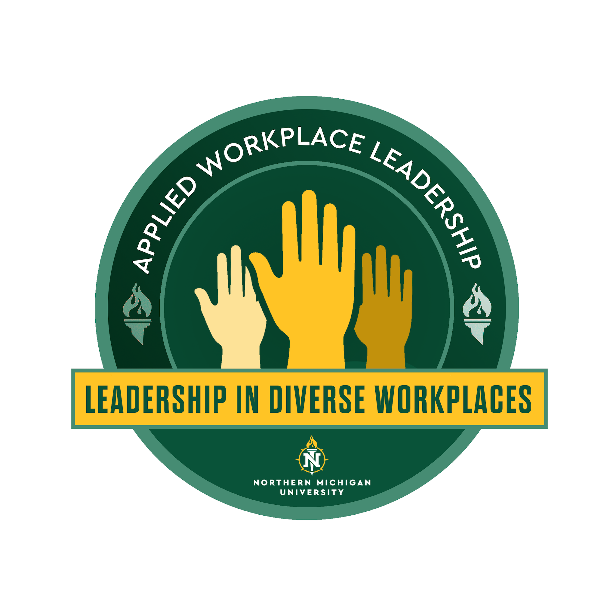 Leadership in Diverse Workplaces - LDR 300