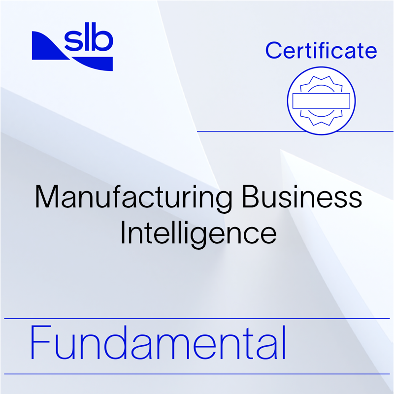 Manufacturing Business Intelligence - Fundamental Certificate