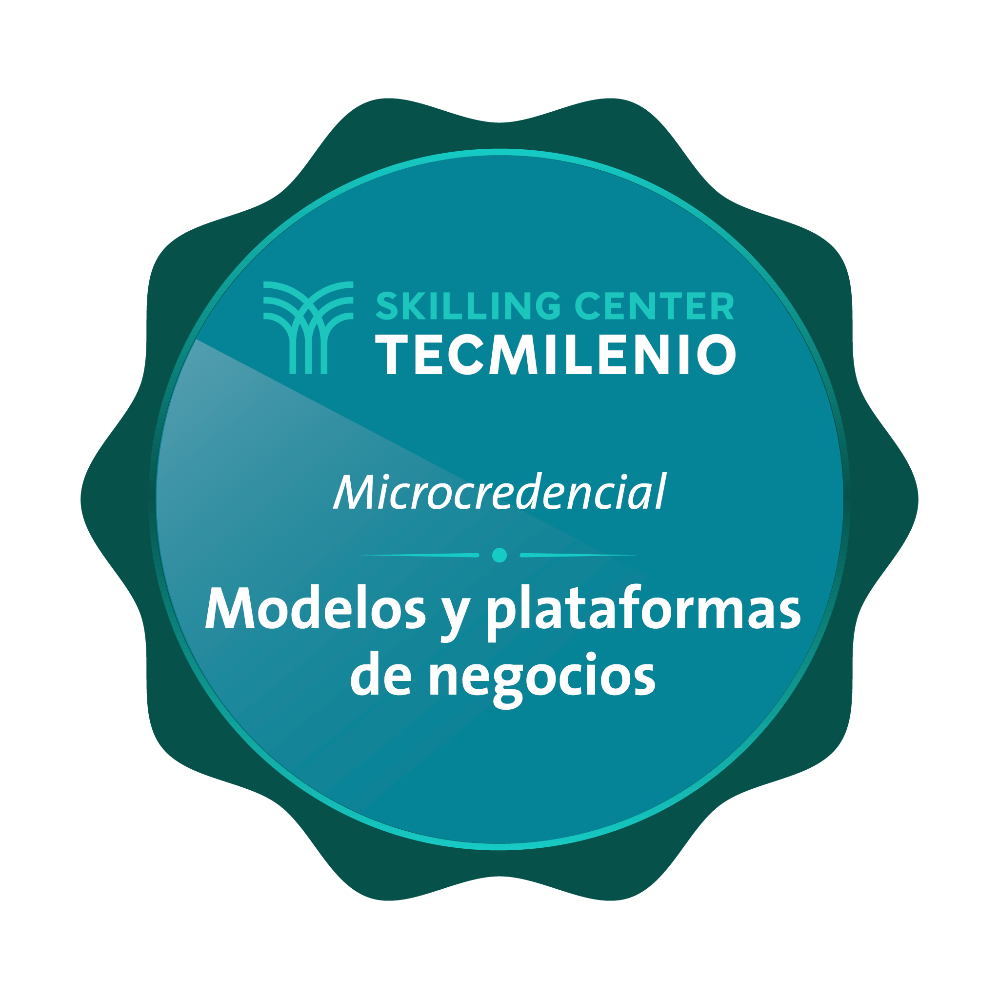 Microcredencial Modelos y plataformas de negocios