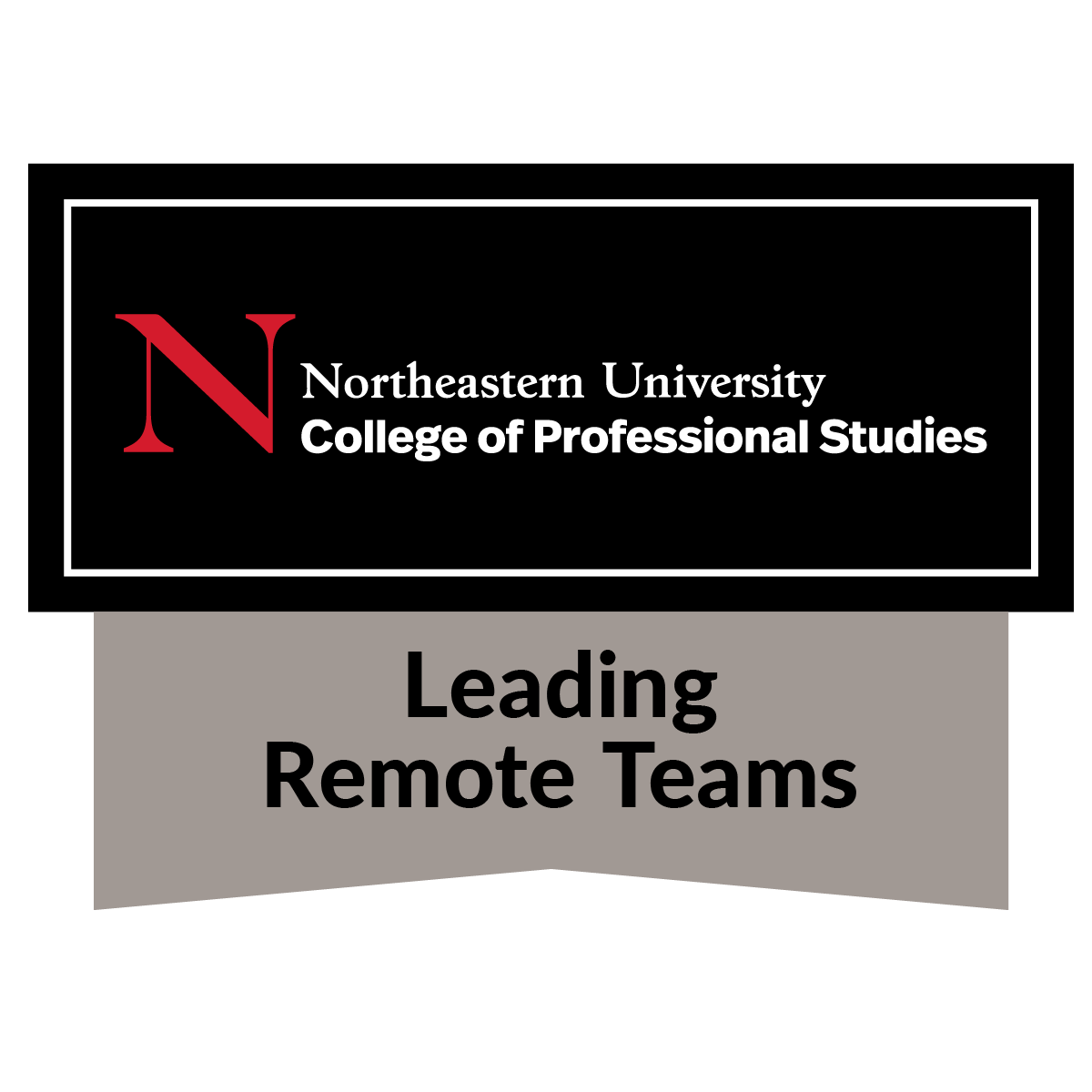 Leading Remote Teams