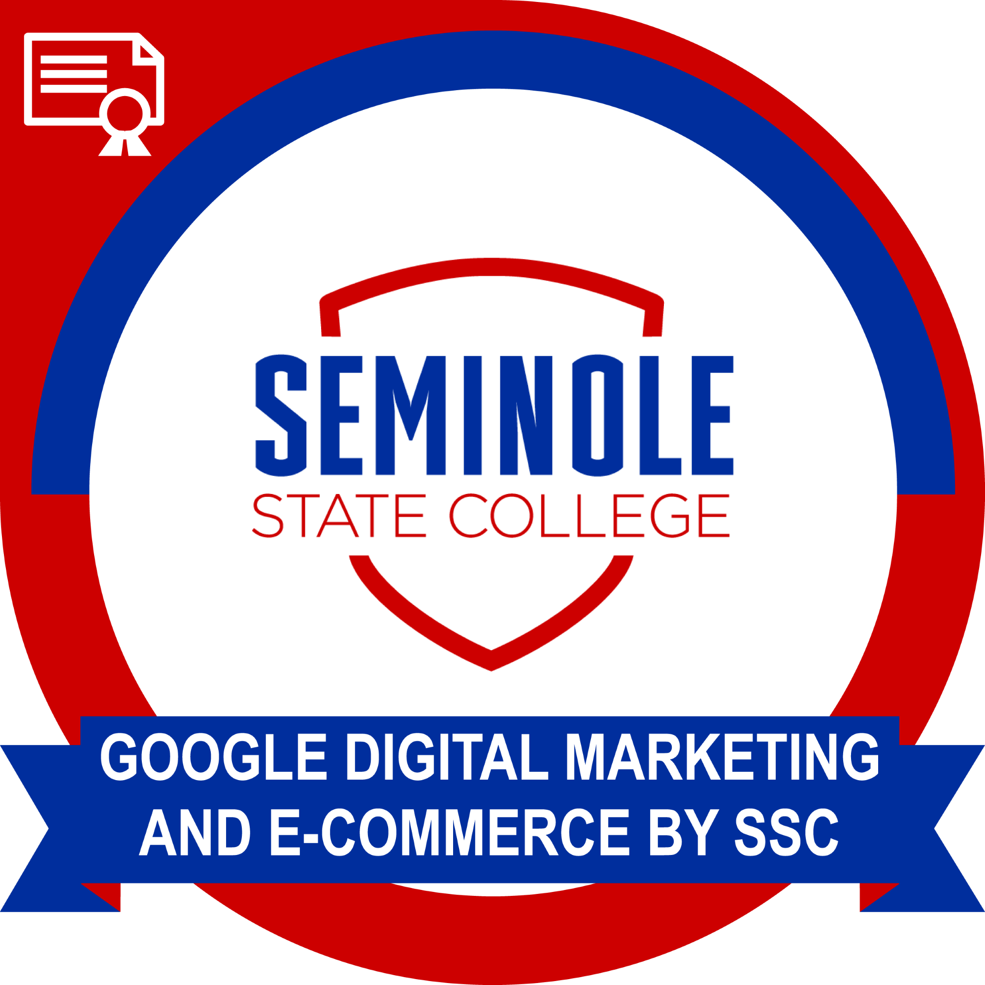 Google Digital Marketing and E-Commerce by SSC