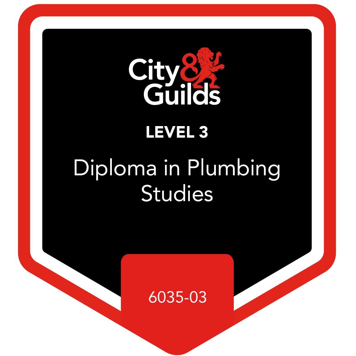 Level 3 Diploma In Plumbing Studies 6035 03 Credly level-3-diploma-in-plumbing-studies-6035-03-credly
