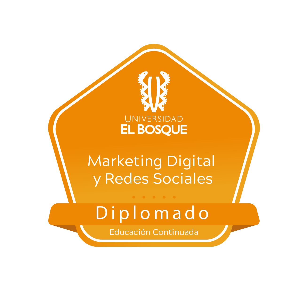 Diplomado Marketing Digital y Redes Sociales