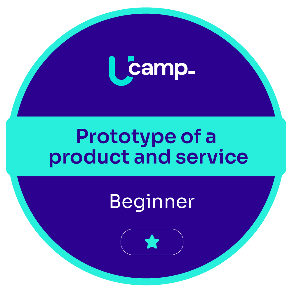 Prototype of a product and service