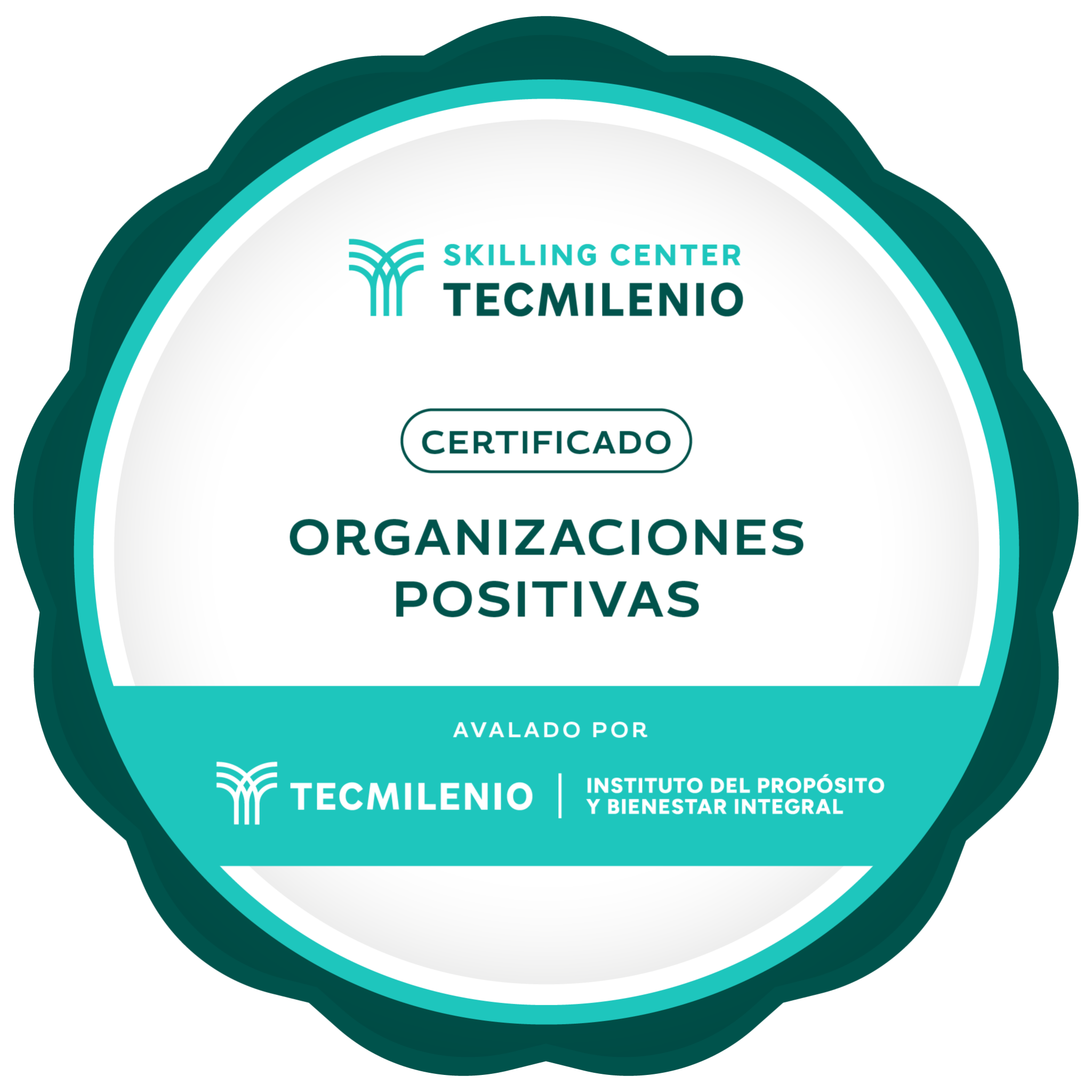 Certificado Organizaciones positivas.