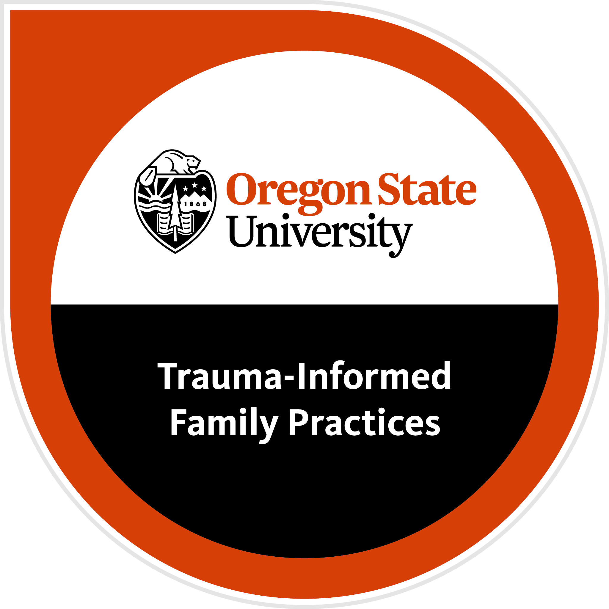 Trauma-Informed Family Practices