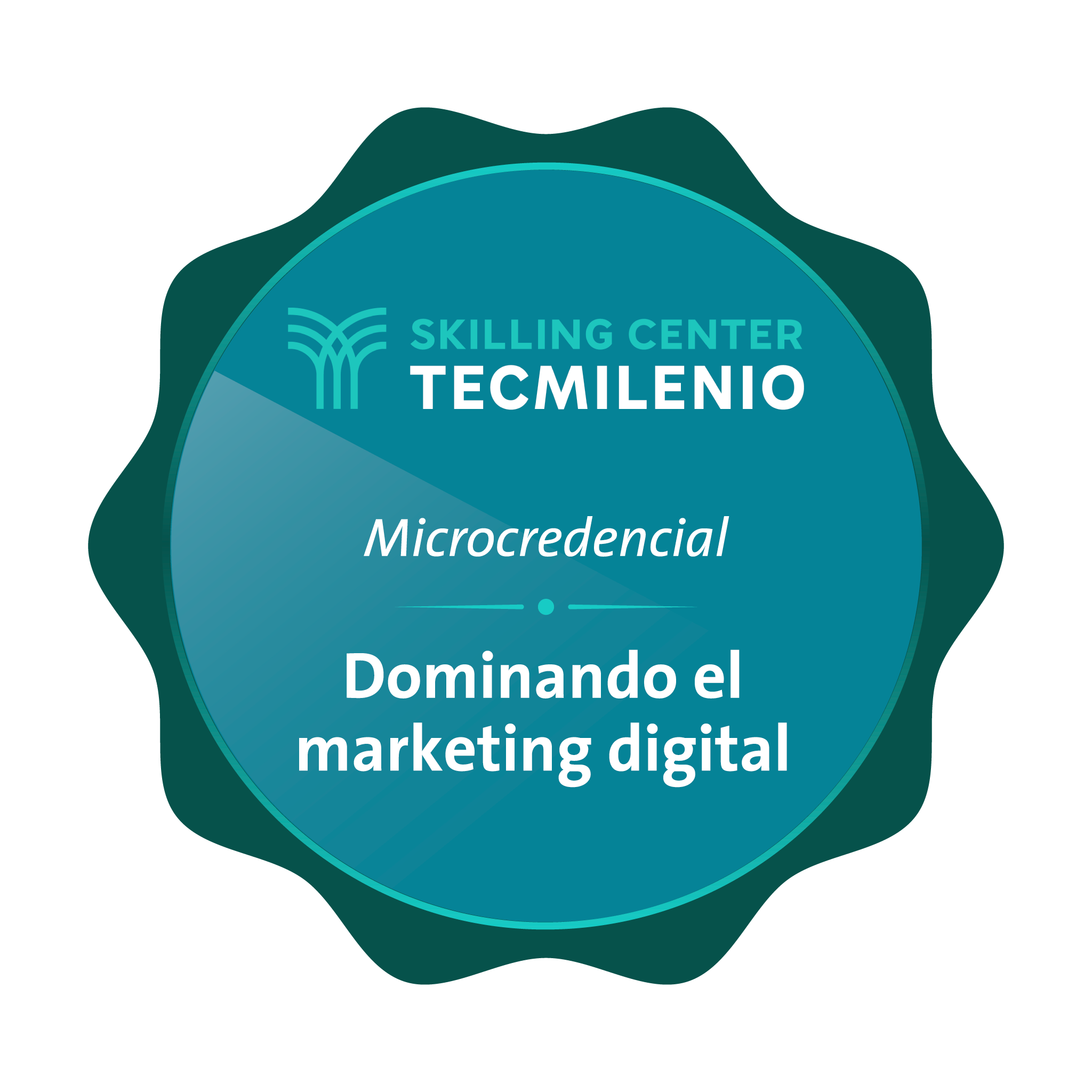 Microcredencial Dominando el Marketing Digital