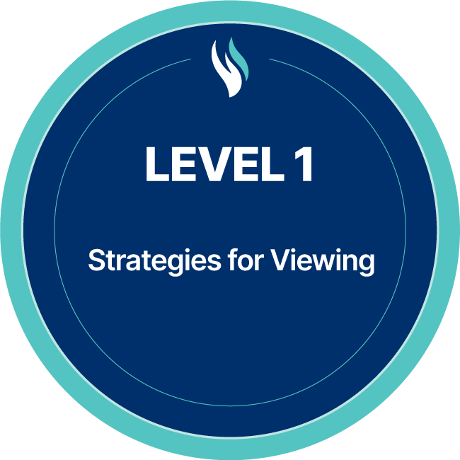 Strategies for Viewing
