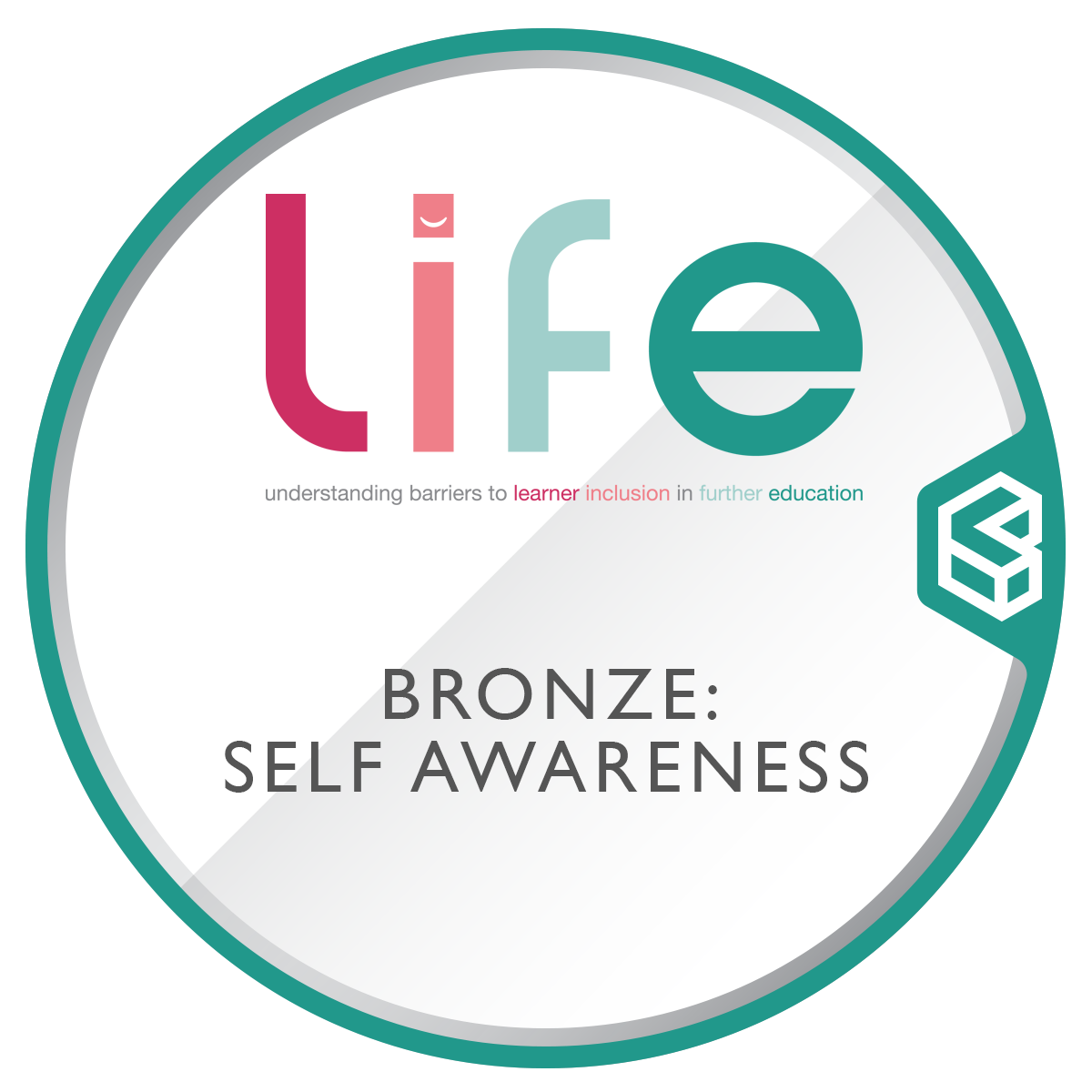 Bronze: Self-Awareness and Self-Regulation