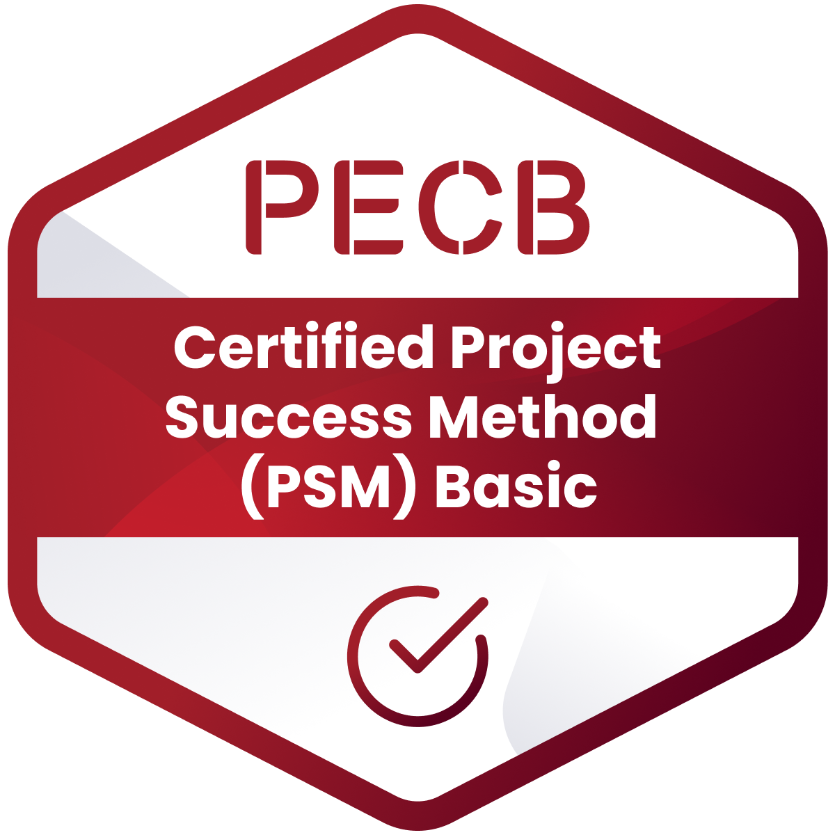 Certified Project Success Method (PSM) Basic
