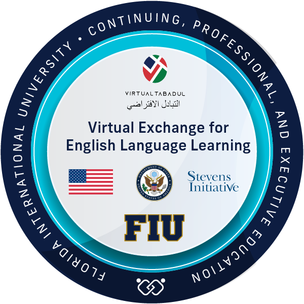 Virtual Exchange for English Language Learning