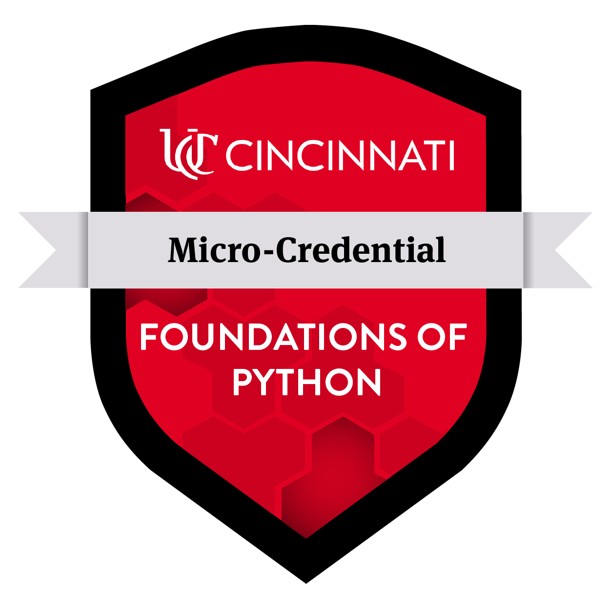 Foundations of Python