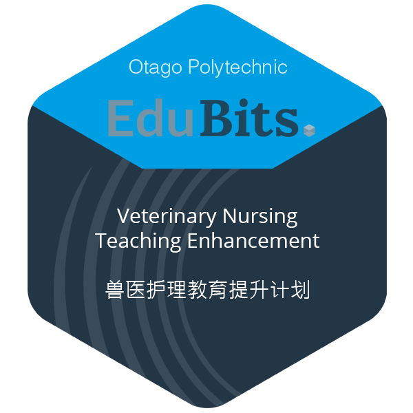 Veterinary Nursing Teaching Enhancement 兽医护理教育提升计划