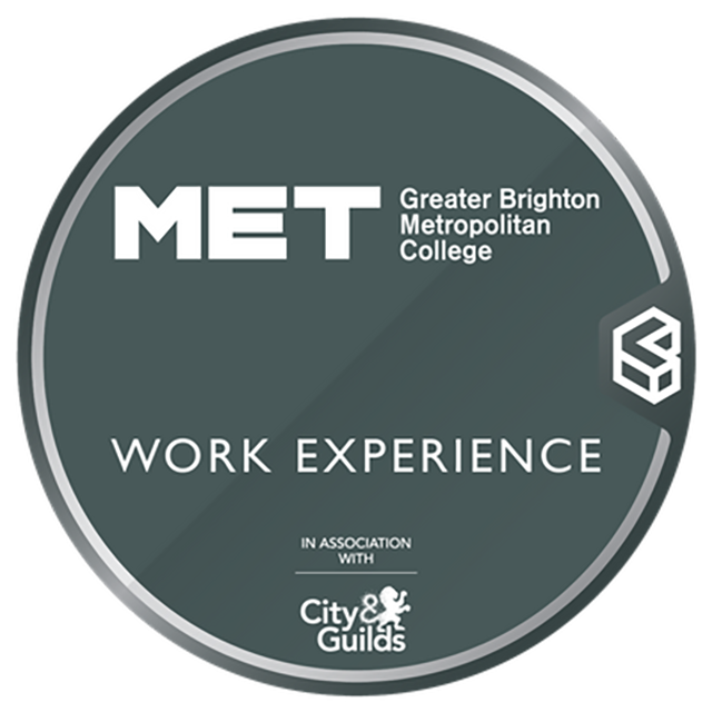 GBMET Work Experience