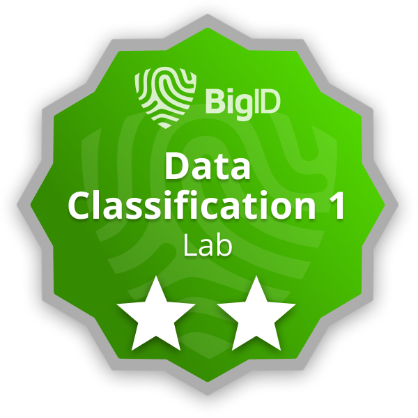 Bigid Data Classification 1 Lab Credly Bigid Data Classification 1 Lab Credly