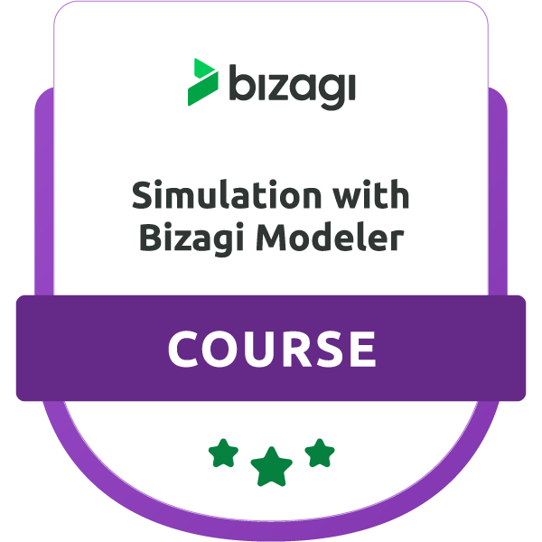 Simulation with Bizagi Modeler