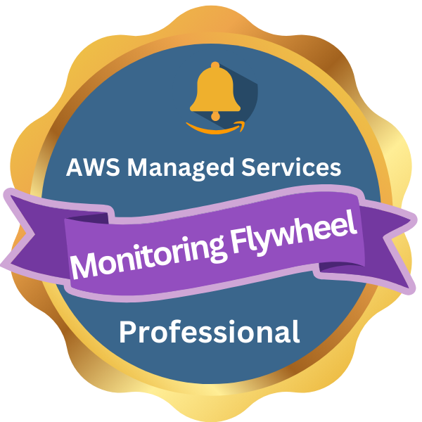 Monitoring Flywheel Professional