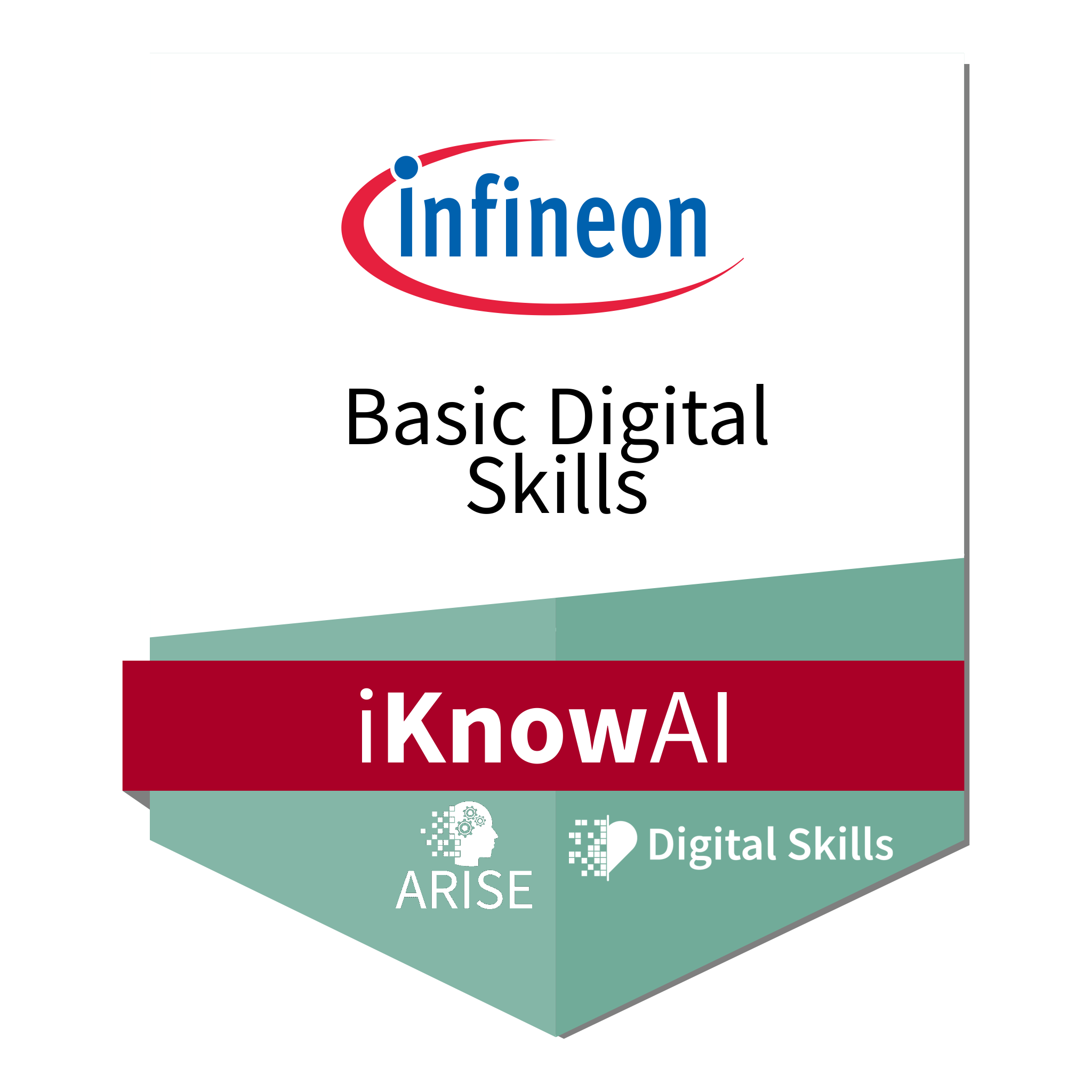 Basic Digital Skills