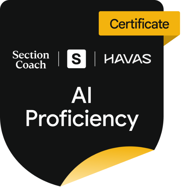 Section Coach x Havas: Basic AI Proficiency