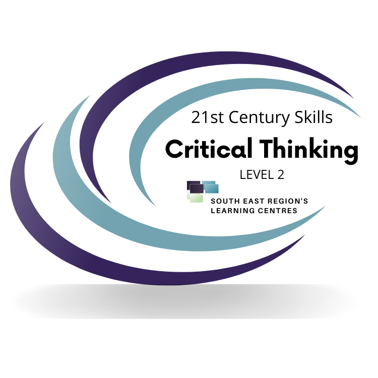 Critical Thinking Level 2