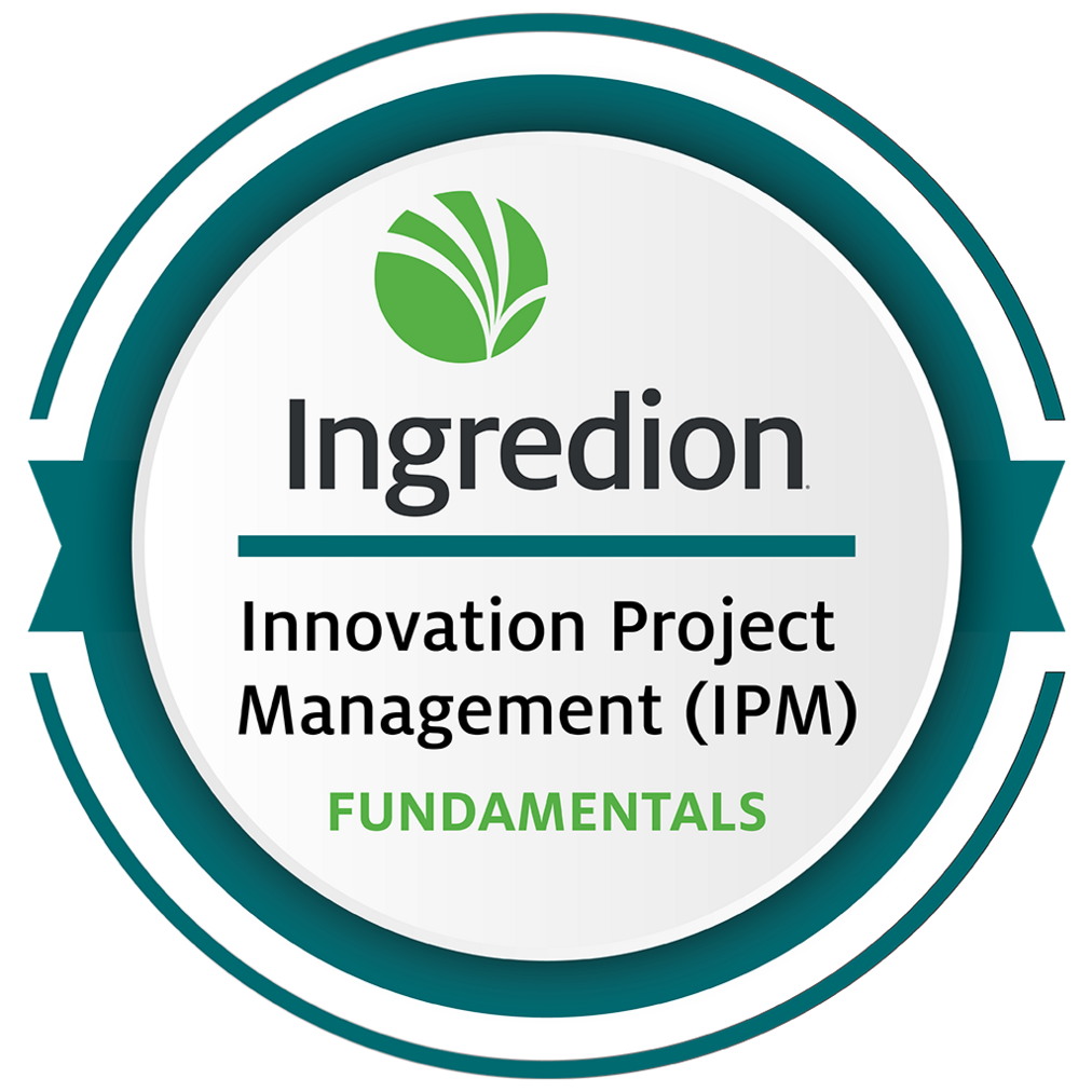 Innovation Project Manager (IPM)