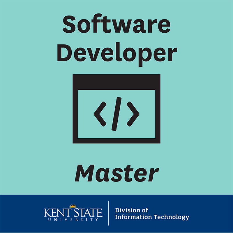 Software Developer - Master