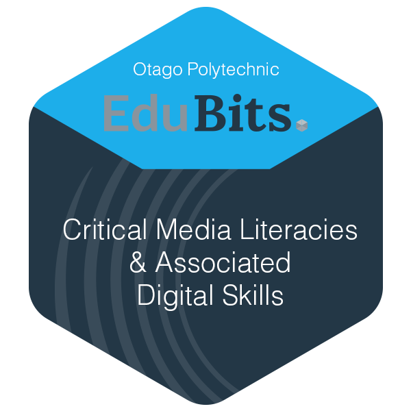 Critical Media Literacies and Associated Digital Skills