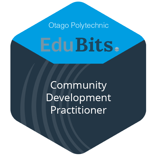 Community Development Practitioner