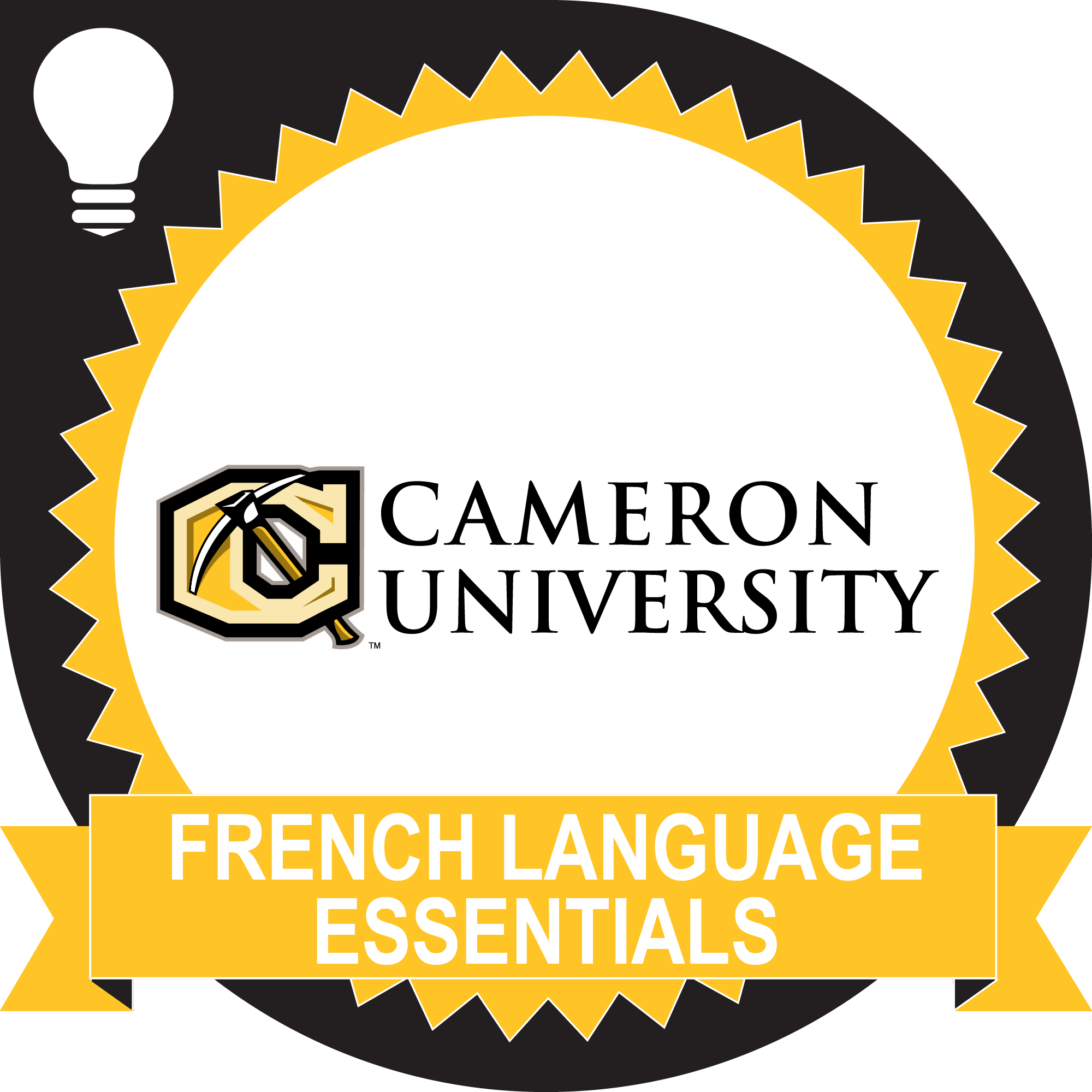 French Language Essentials