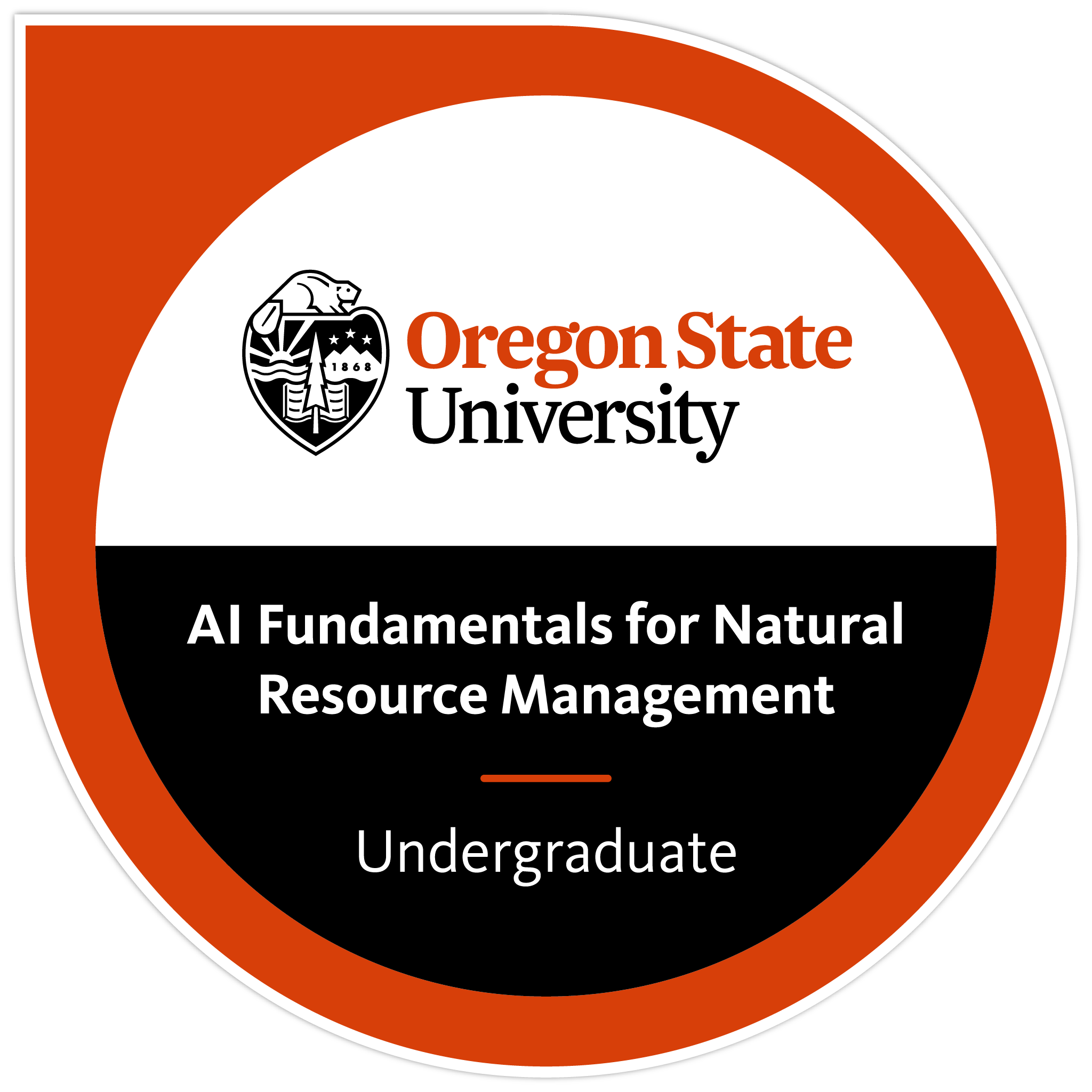 AI Fundamentals for Natural Resource Management