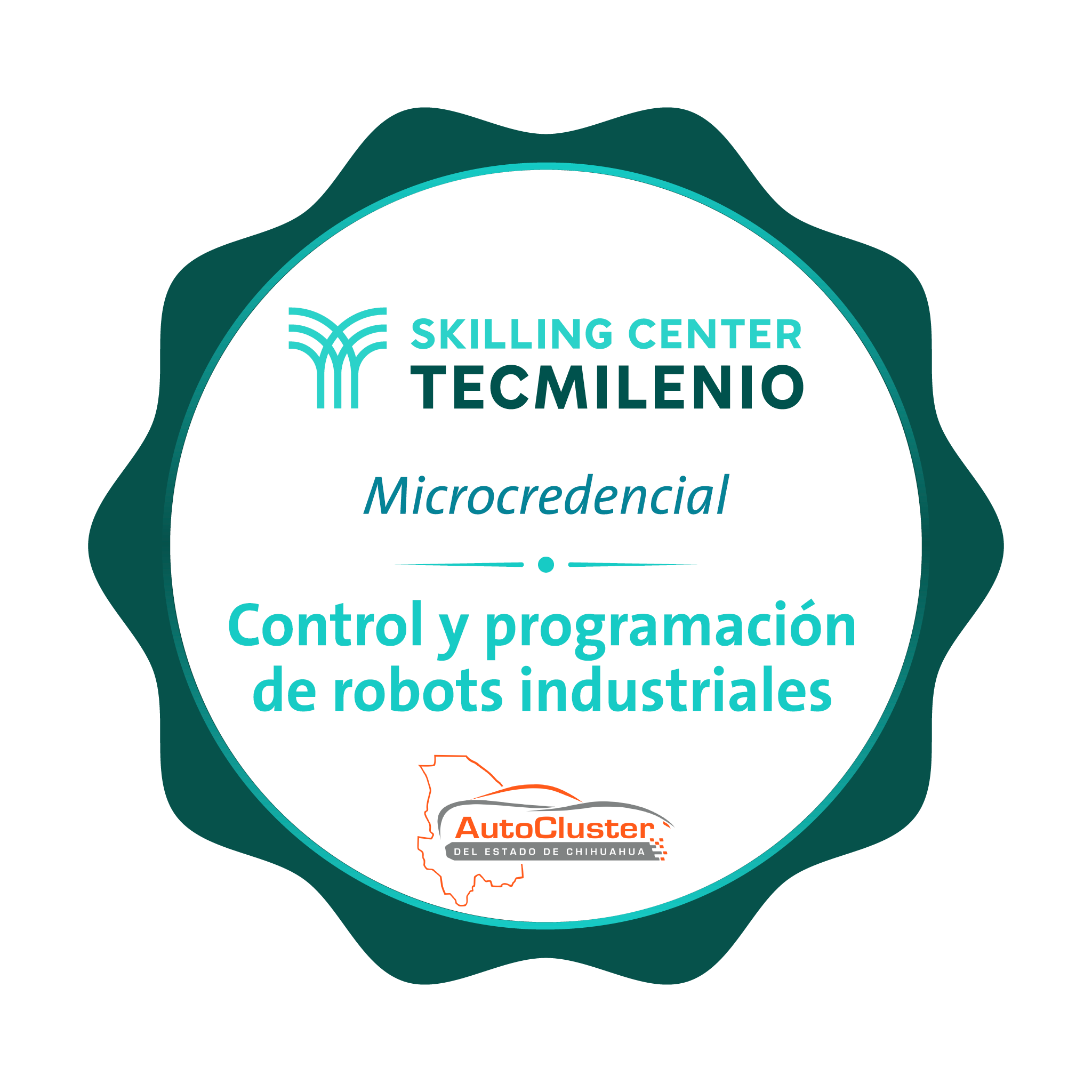 -Microcredencial Control y programación de robots industriales