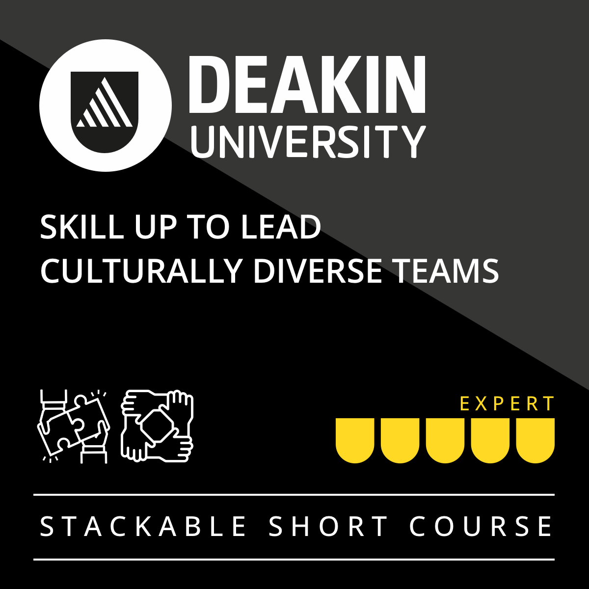 Skill Up To Lead Culturally Diverse Teams