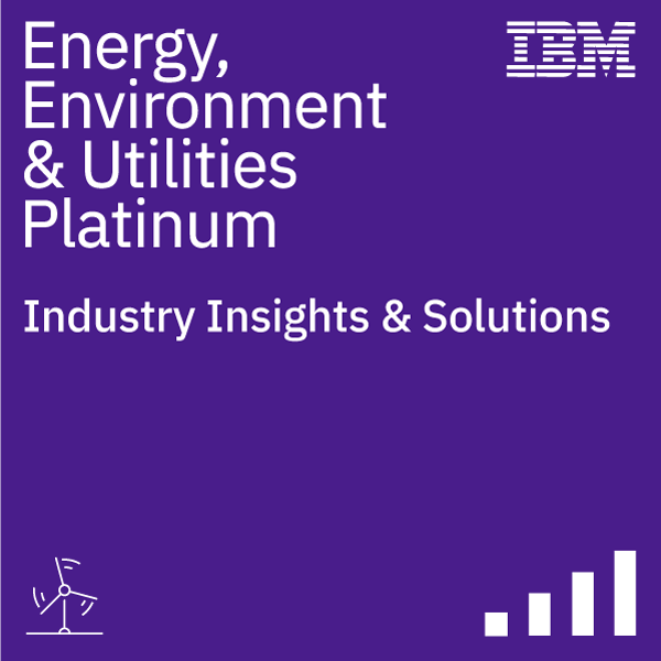 Energy, Environment and Utilities Insights and Solutions (Platinum)