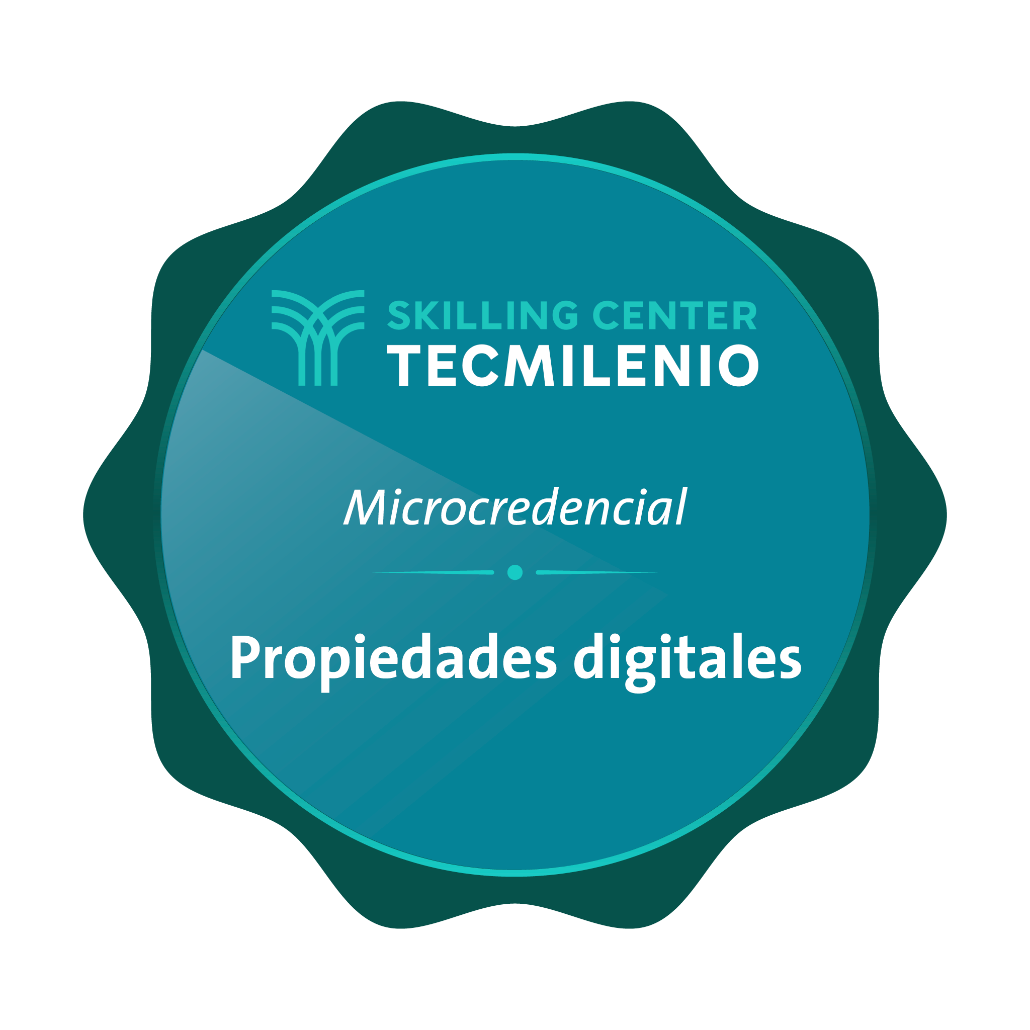 Microcredencial Propiedades digitales