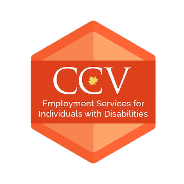 Employment Services for Individuals with Disabilities