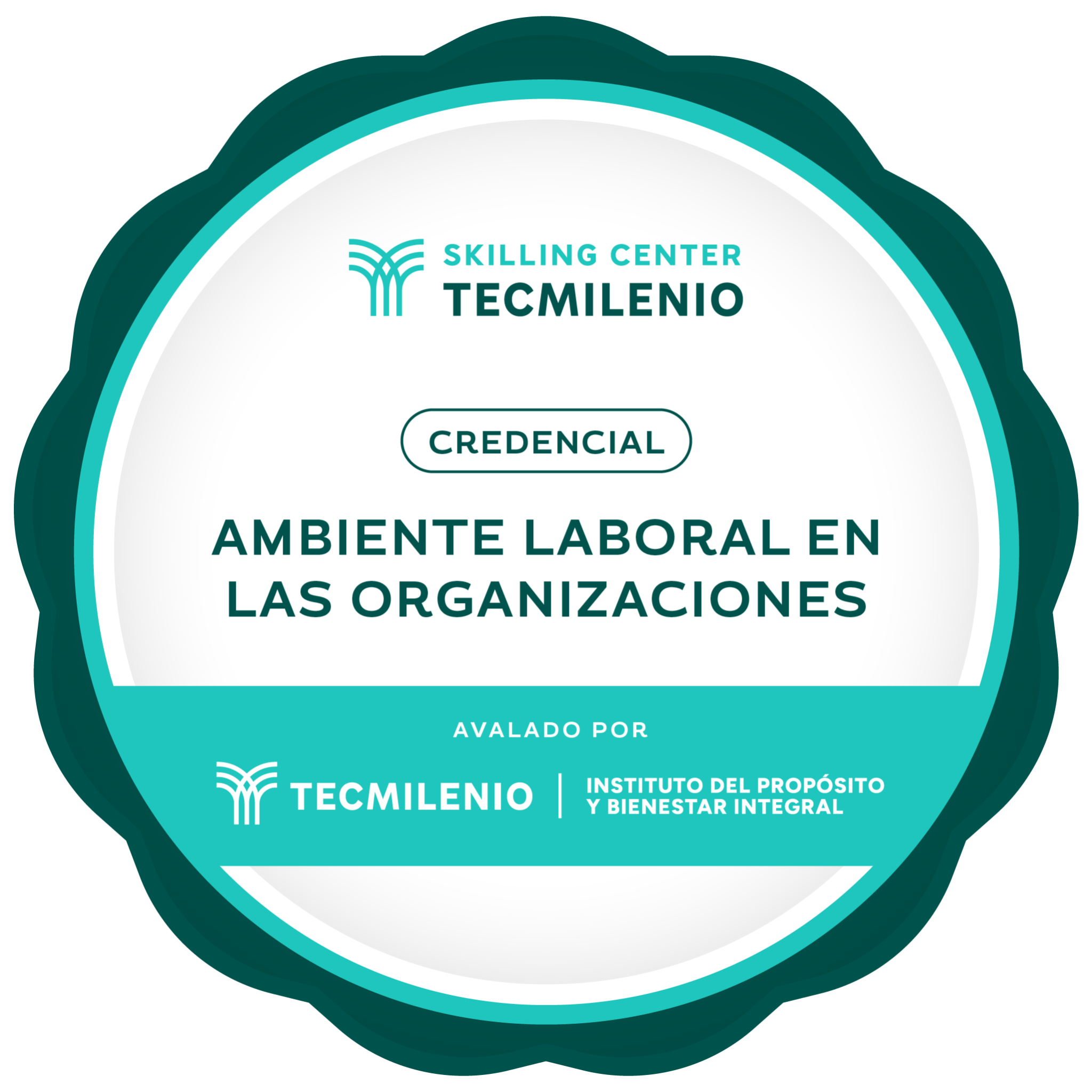 Credencial Ambiente laboral en las organizaciones