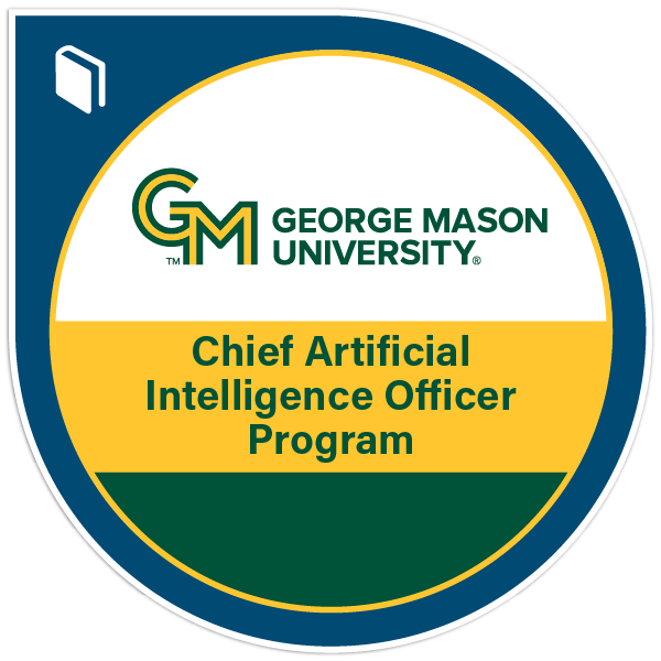 Chief Artificial Intelligence Officer Program