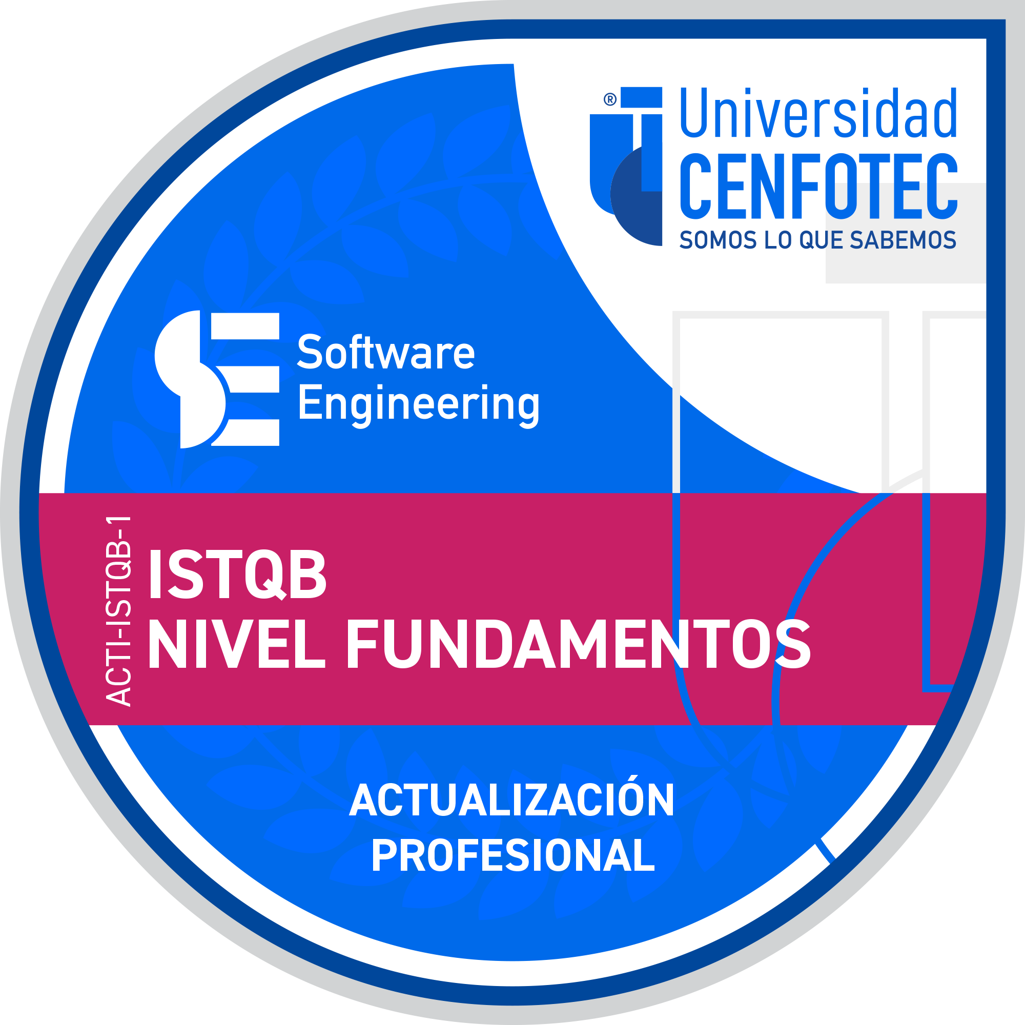 ISTQB Nivel Fundamentos