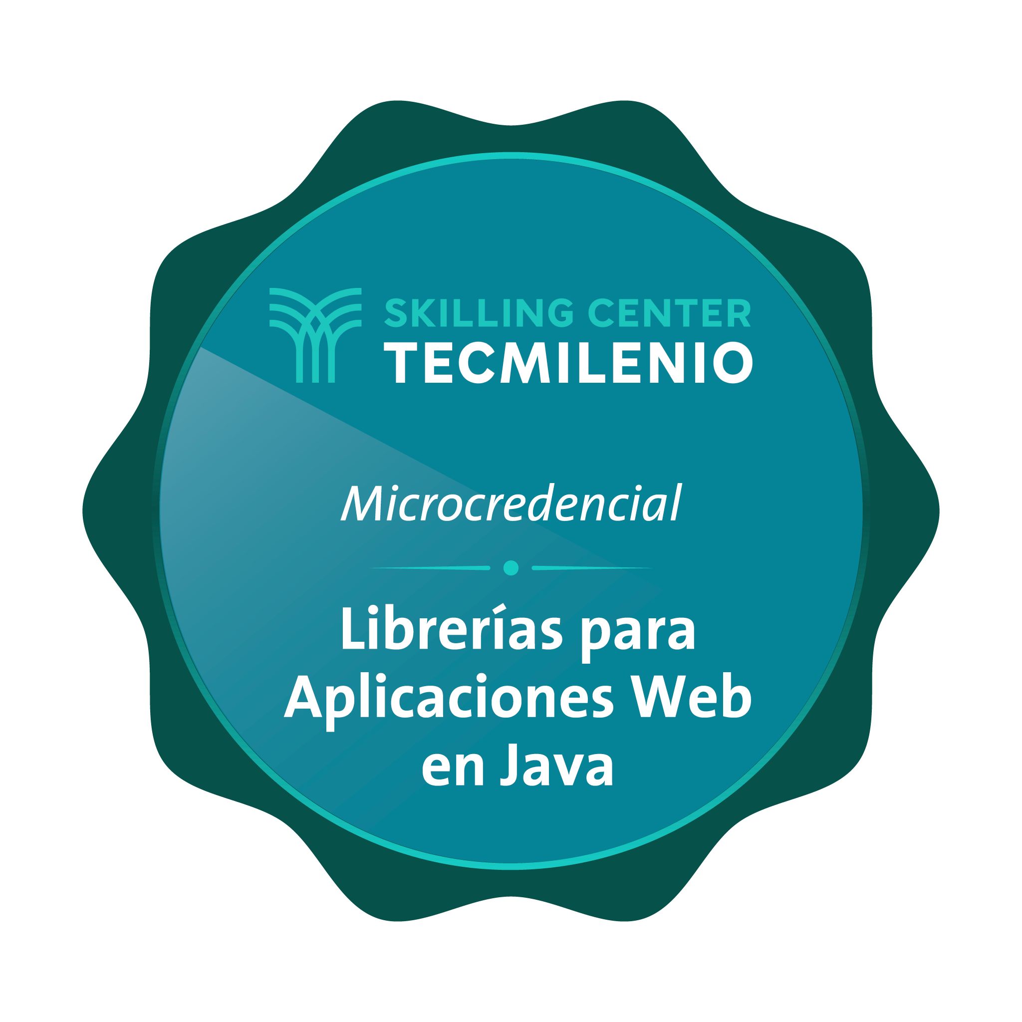 Microcredencial Librerías para aplicaciones web en java