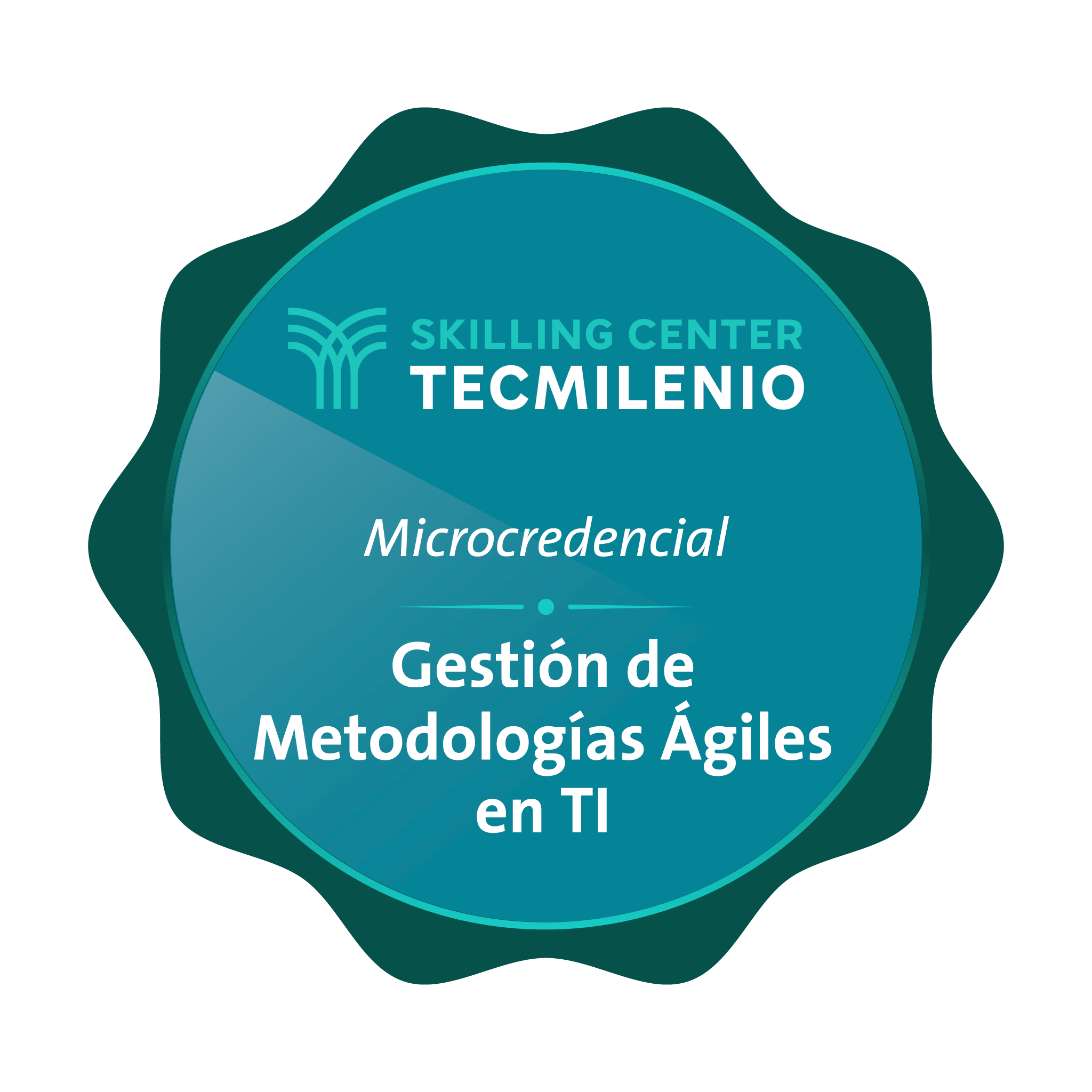Microcredencial Gestión de metodologías ágiles en TI
