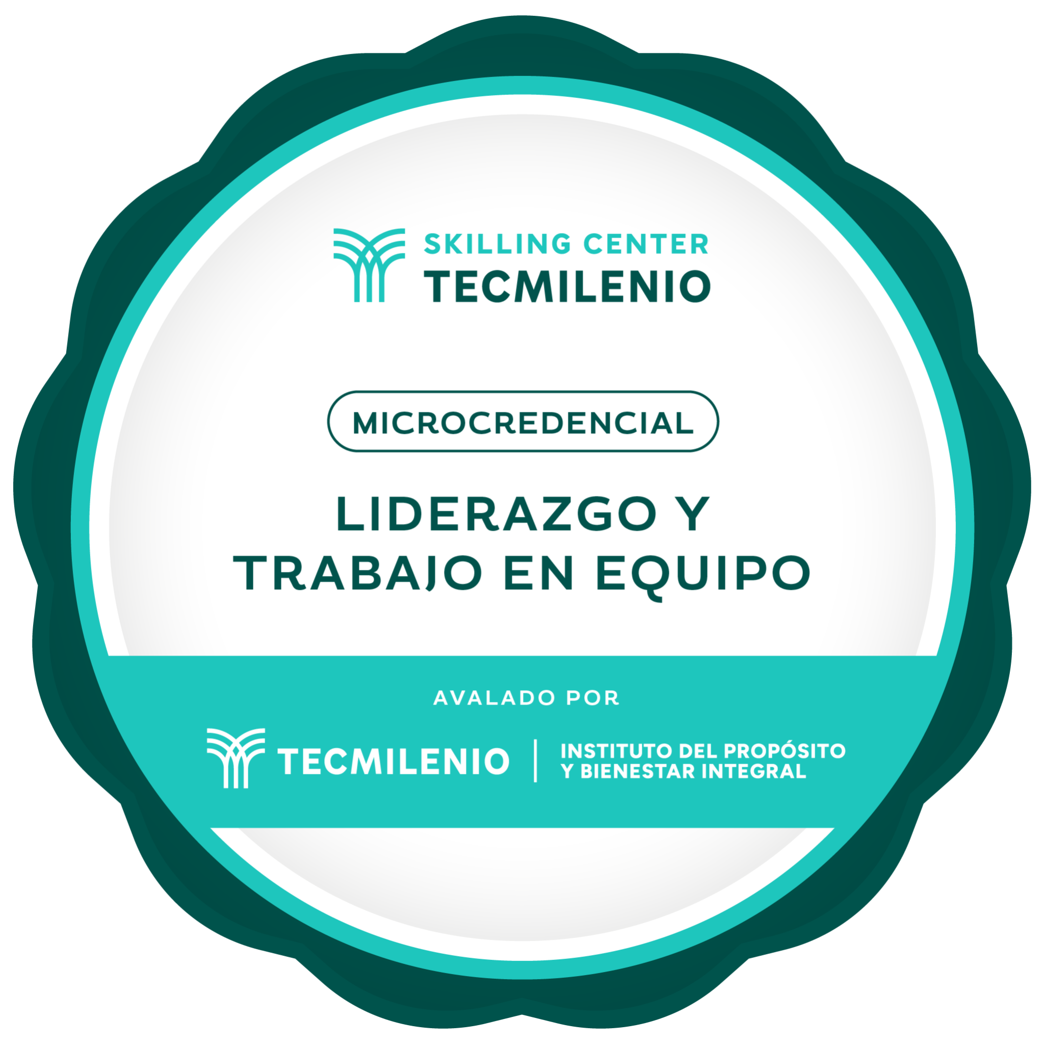 Microcredencial Liderazgo y trabajo en equipo